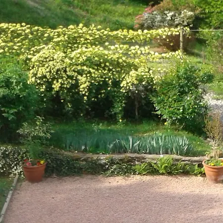 A Casa Di Ernestina * Ameno