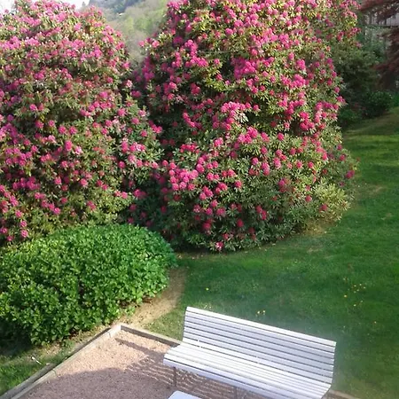 Bed & Breakfast A Casa Di Ernestina *